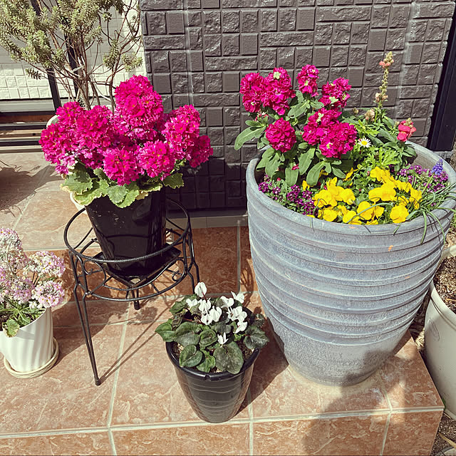 1546さんの実例写真