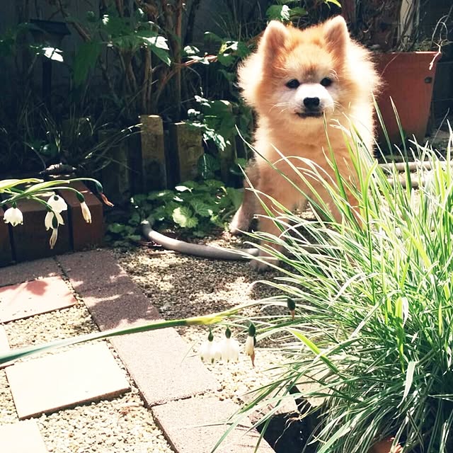 mimyさんの実例写真