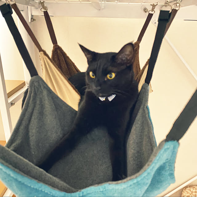 naturalさんの実例写真