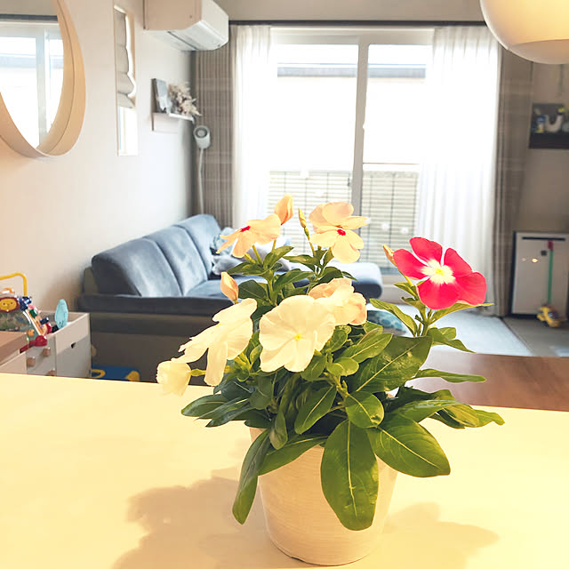 mikasa34さんの実例写真