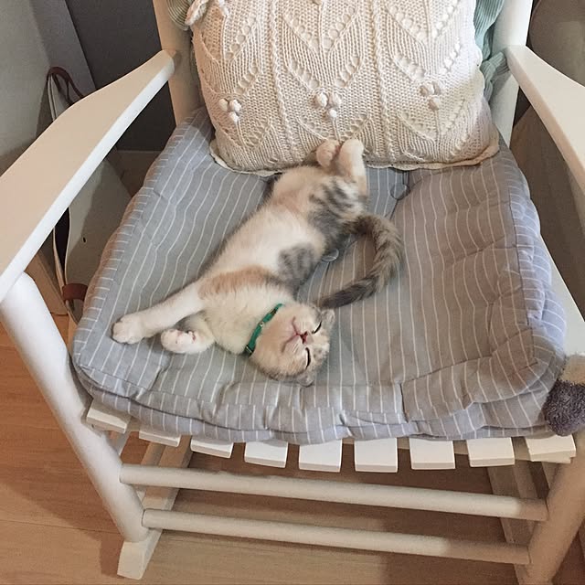 tityさんの実例写真