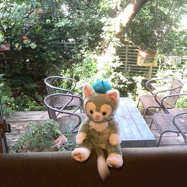 ayuさんの実例写真