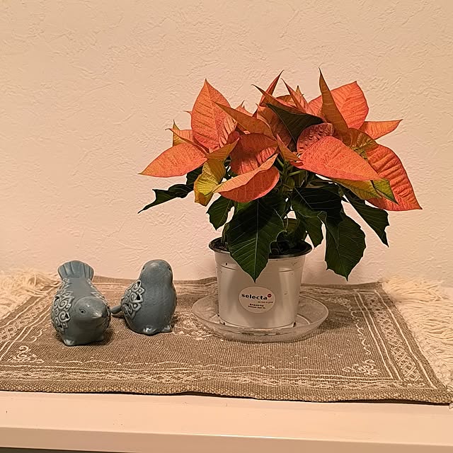 kanaさんの実例写真