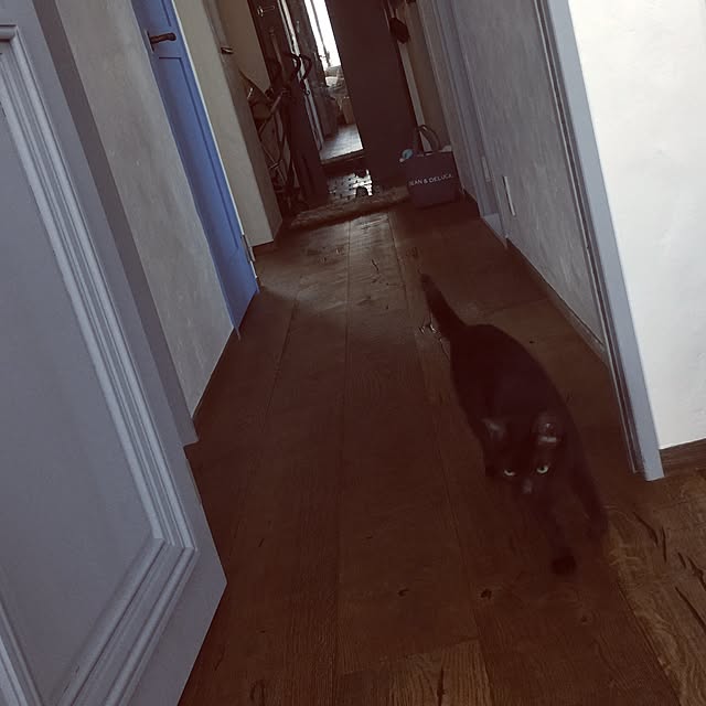 kimikaさんの実例写真