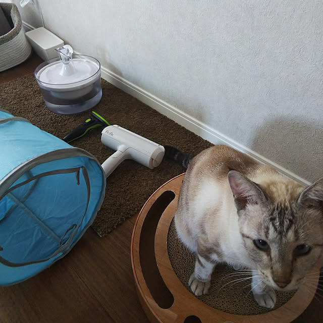 moonさんの実例写真