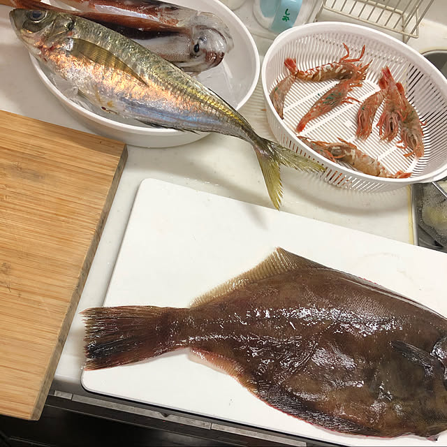 ayuさんの実例写真