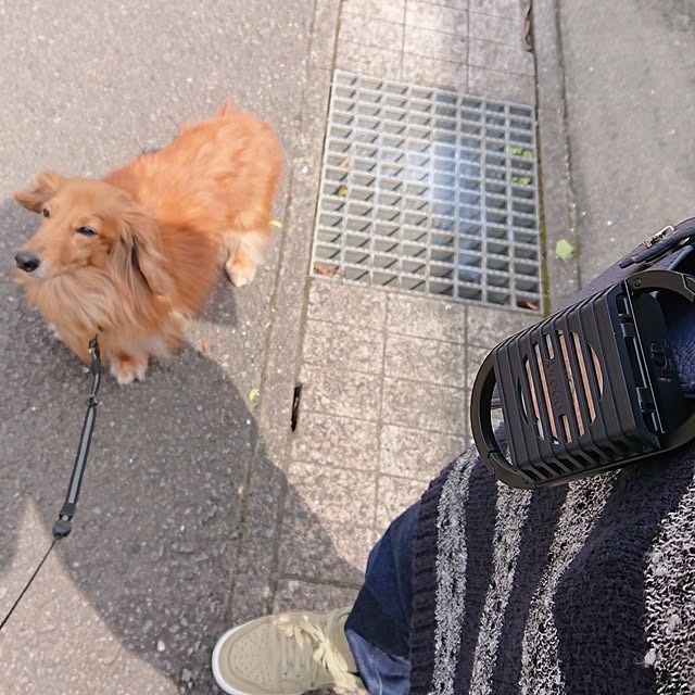 yuuuuさんの実例写真