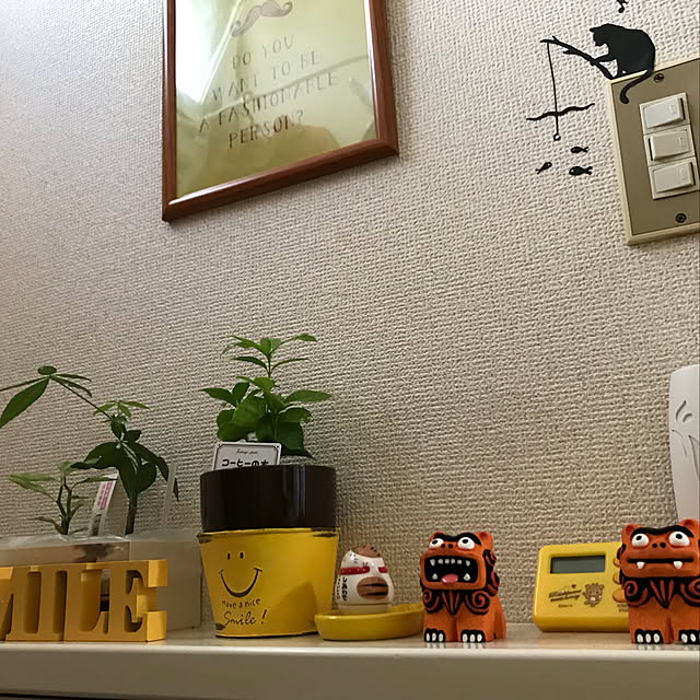 Shizuさんの実例写真
