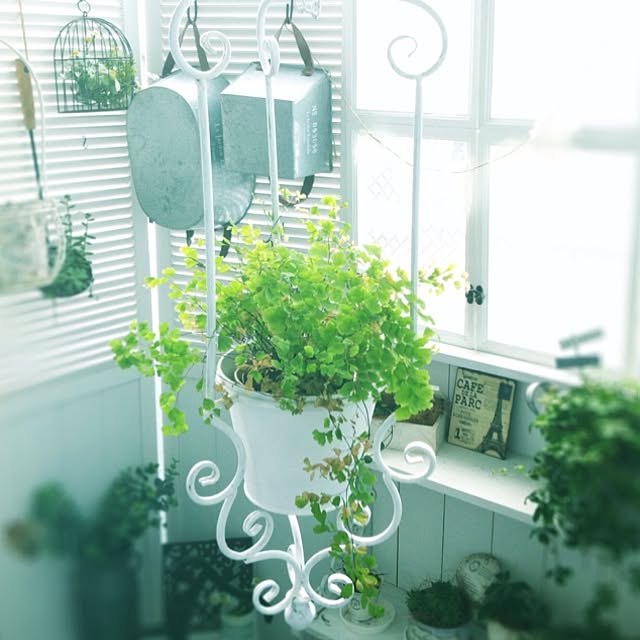 happy_bridgeさんの実例写真