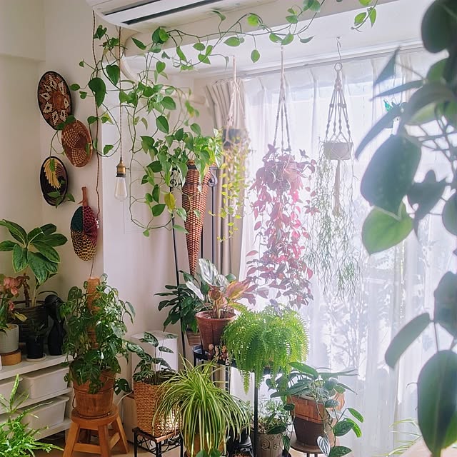 YuriYuriさんの部屋