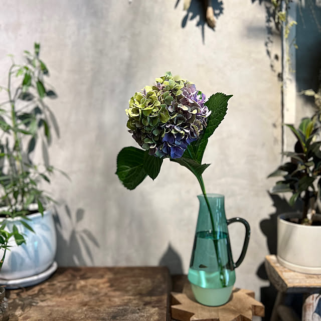 Royal_Gardeners_Clubさんの実例写真