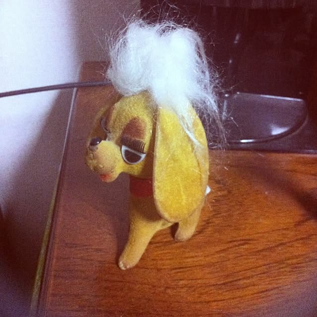 実例写真