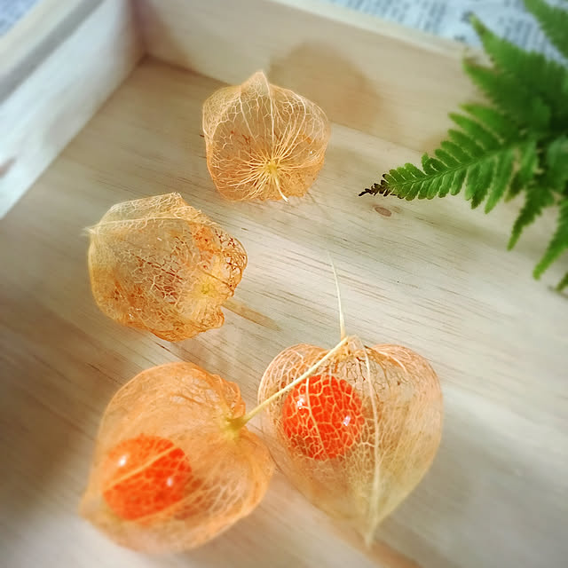 mintteaさんの実例写真