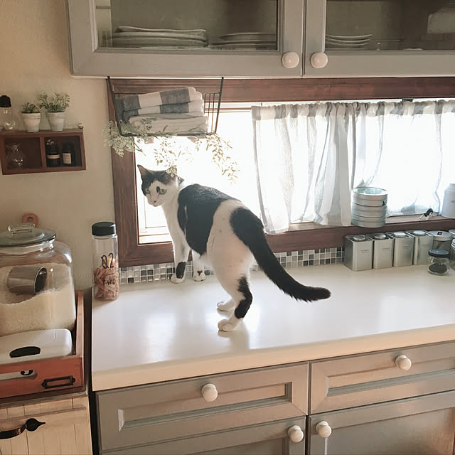 mahi1101さんの実例写真