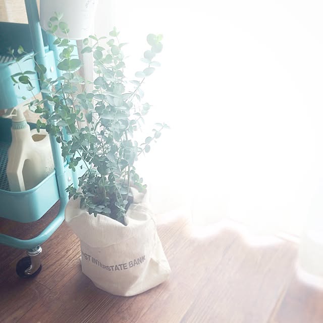sacraさんの実例写真
