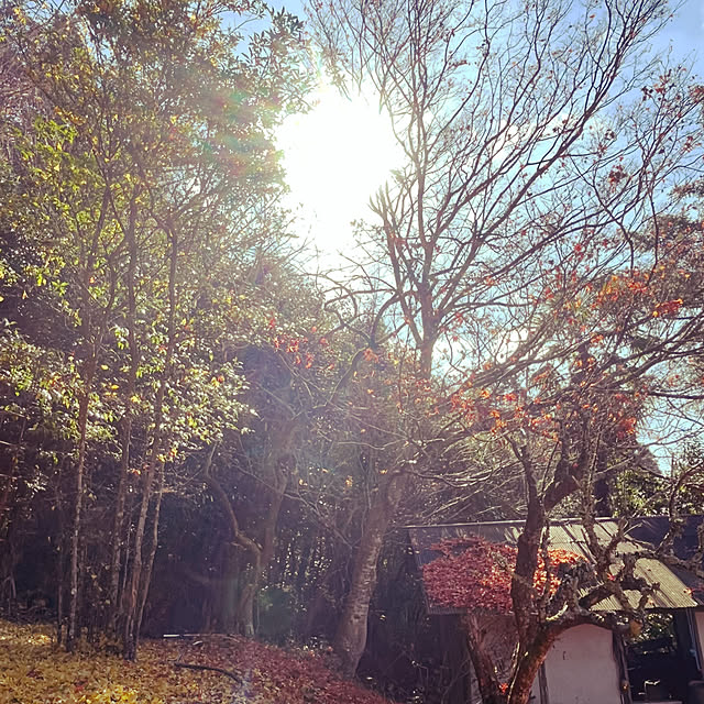 cota2さんの部屋