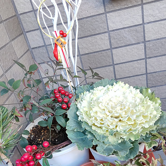 Chan-Reyさんの実例写真