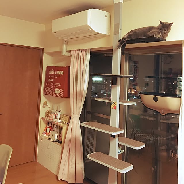 Shojiさんの実例写真