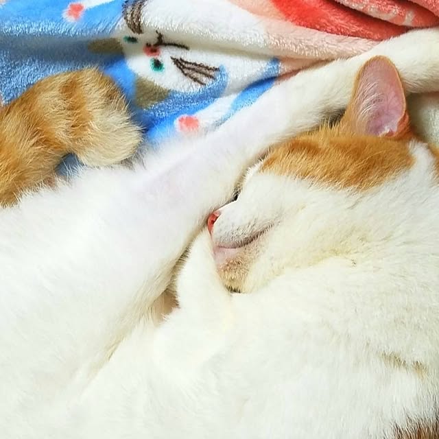 moko.7525himeさんの部屋