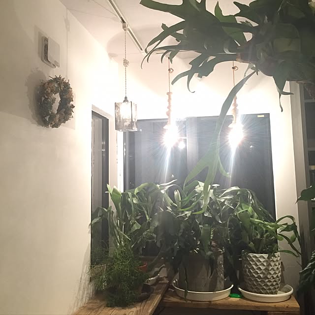 Antiqueさんの実例写真