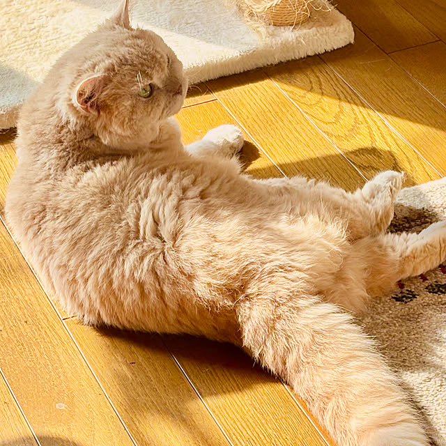 naokoさんの部屋