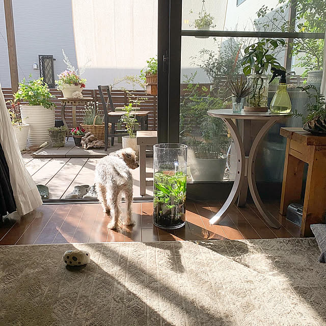 kuroさんの実例写真