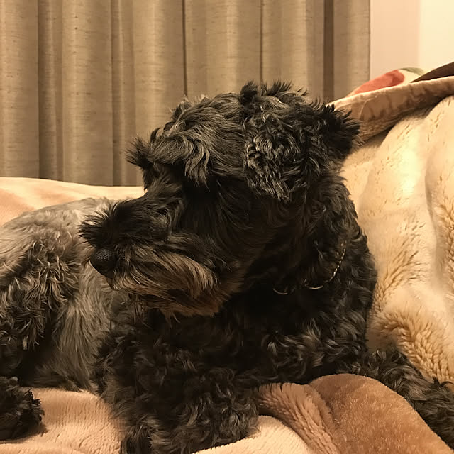 Haruさんの実例写真