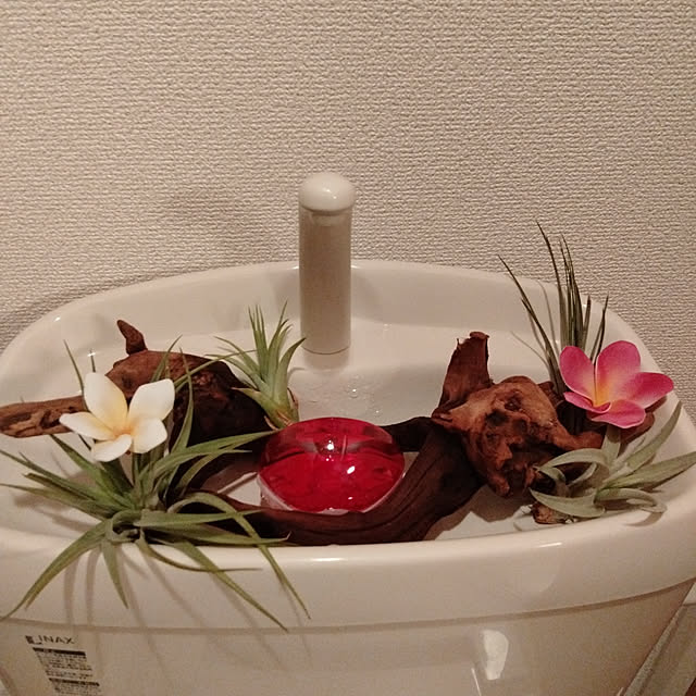 lin--nilさんの実例写真