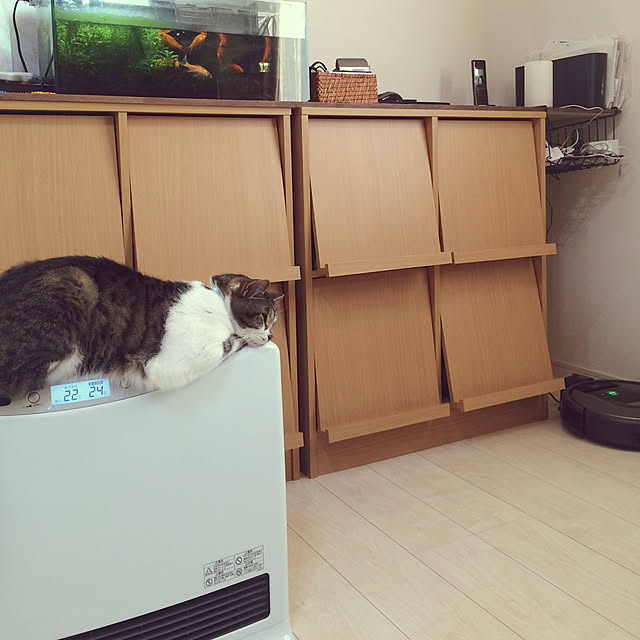 shaolicoさんの実例写真