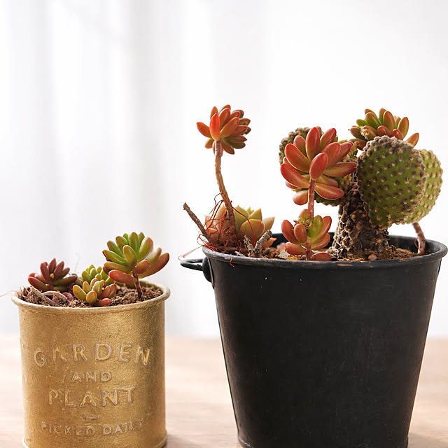 candy7ramさんの部屋