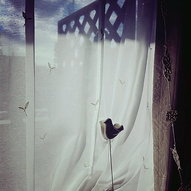 fumitskさんの実例写真
