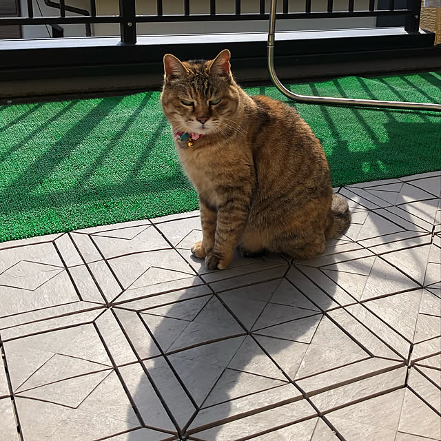sarahemmaさんの実例写真