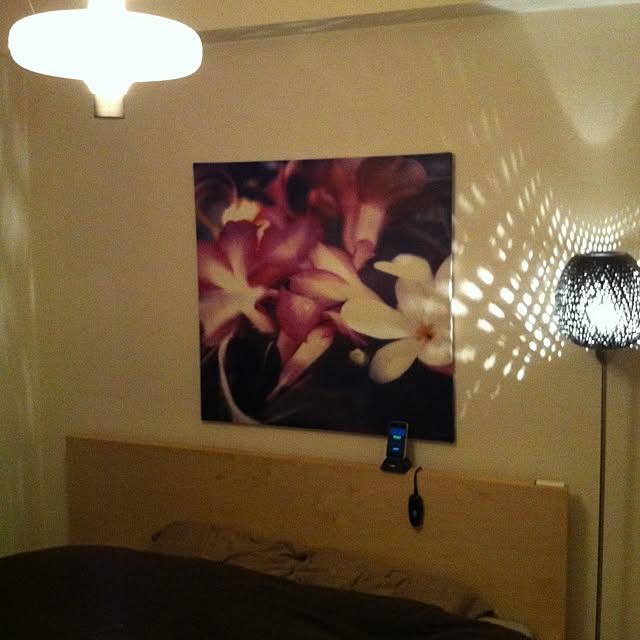 sakuさんの実例写真