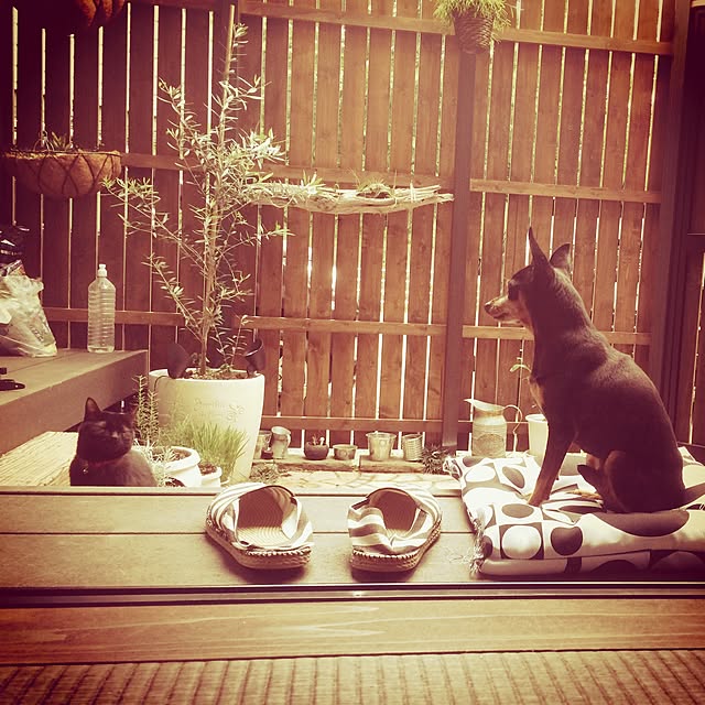 実例写真