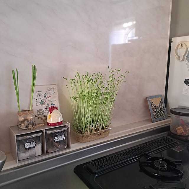 shinoさんの部屋