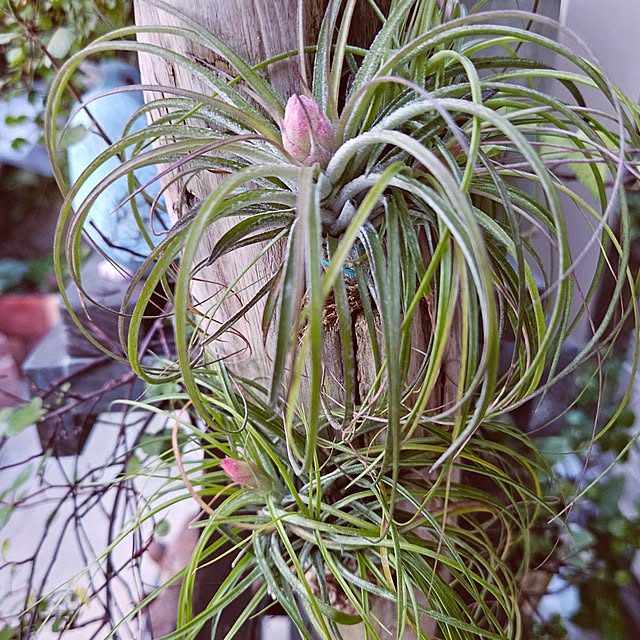 mocomocoさんの部屋