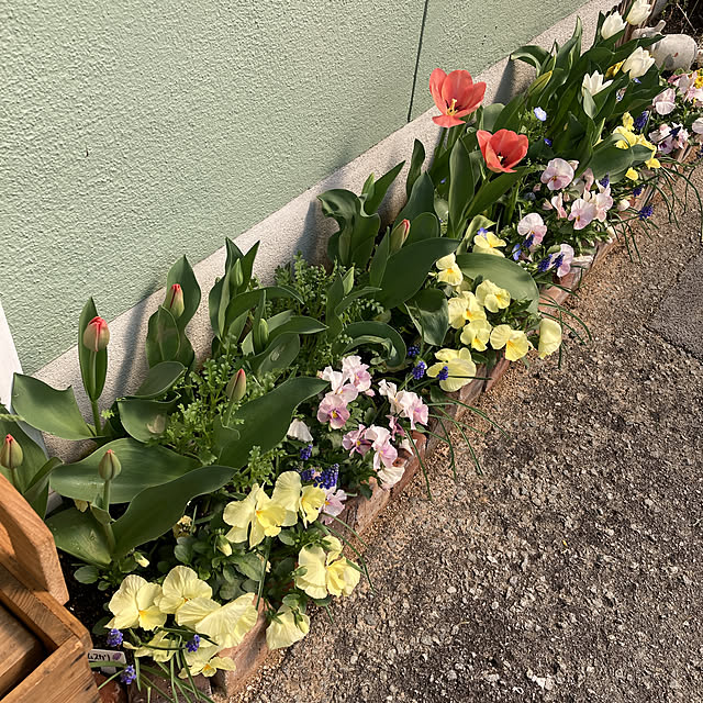 chiechanさんの実例写真