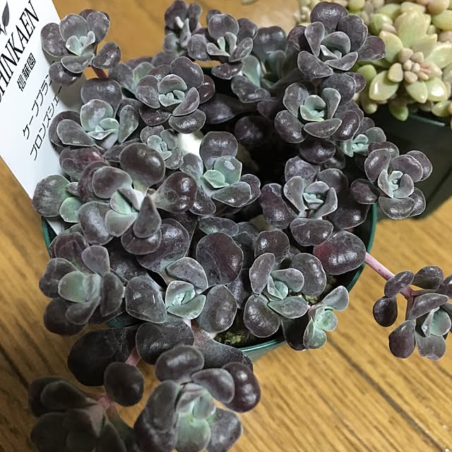 takakoさんの実例写真