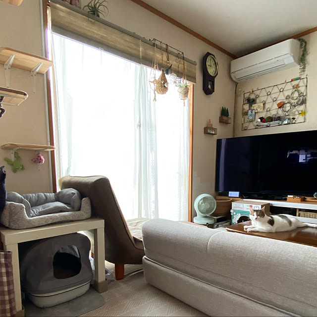 Lufuさんの実例写真