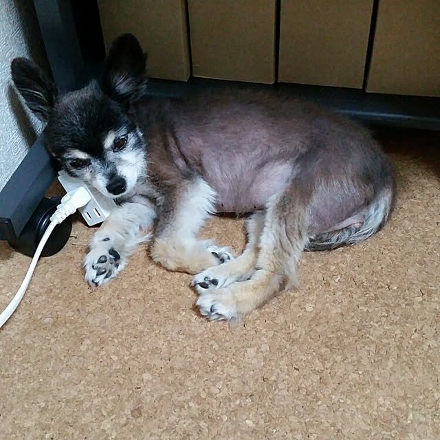 nia1213さんの実例写真