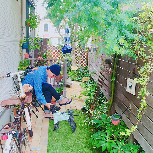 risaさんの実例写真