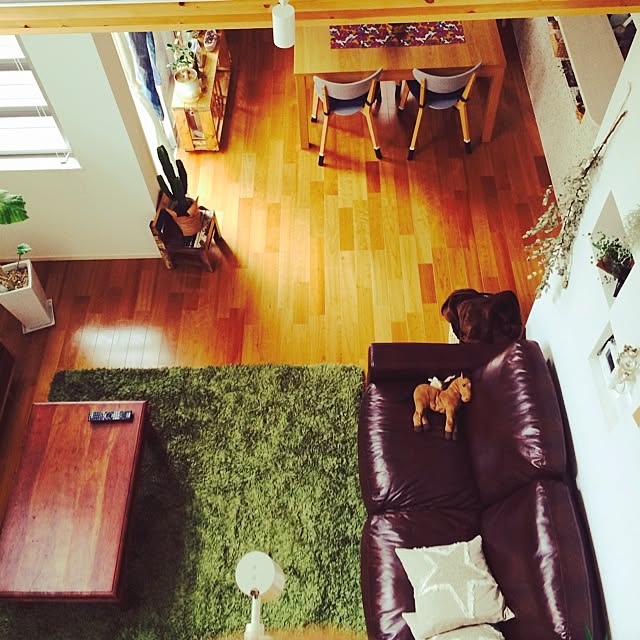 実例写真
