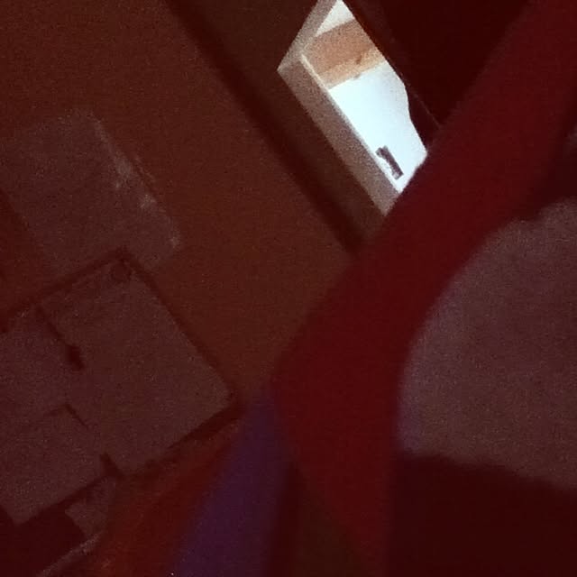 Baseelさんの実例写真