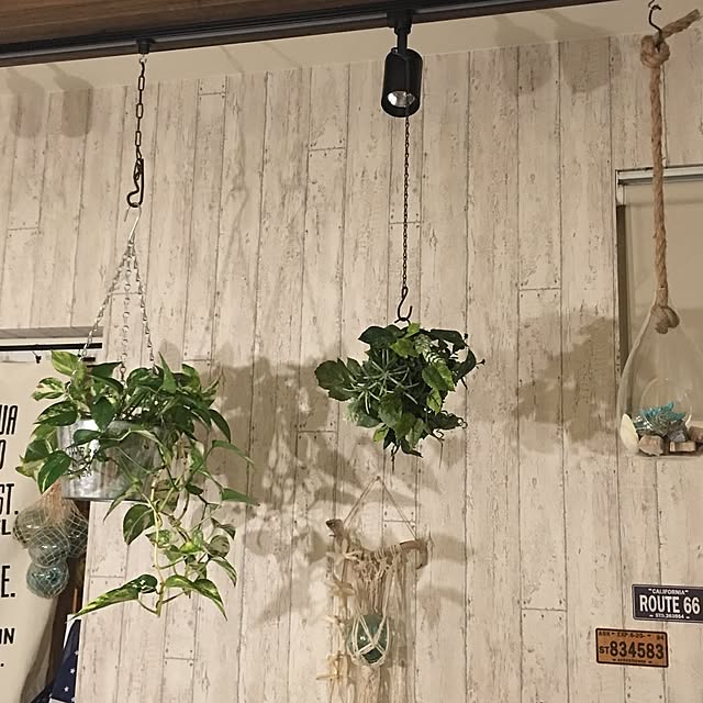 muuさんの実例写真