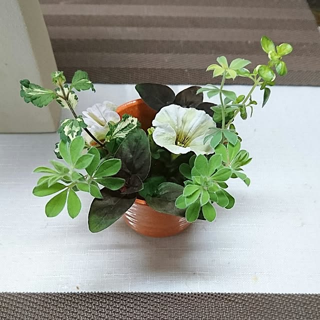 机/ガーデニングのインテリア実例 - 2017-05-31 07:57:31