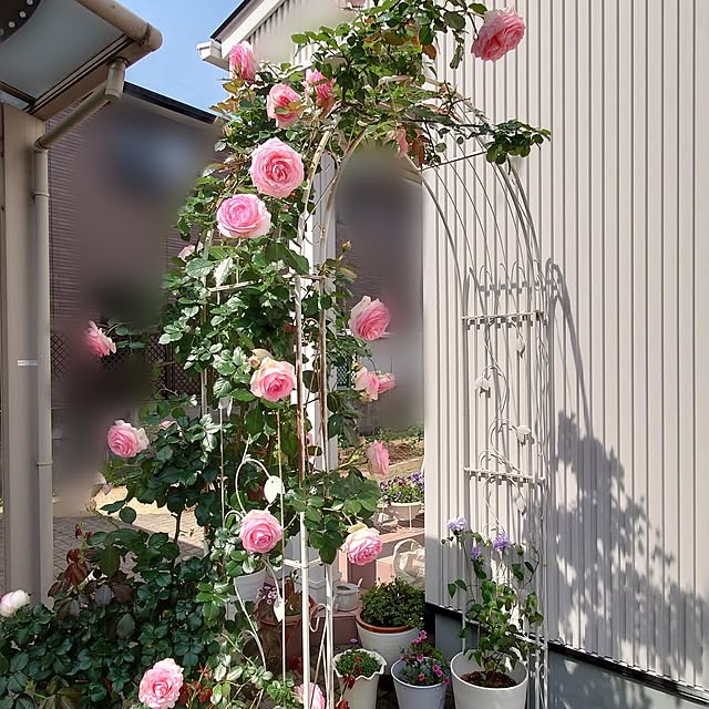 fleur-mamanさんの部屋
