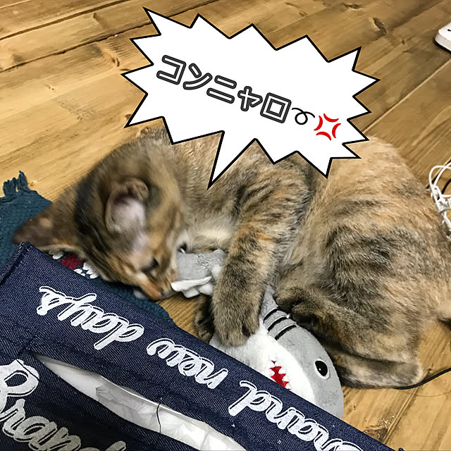 pumehanaさんの実例写真