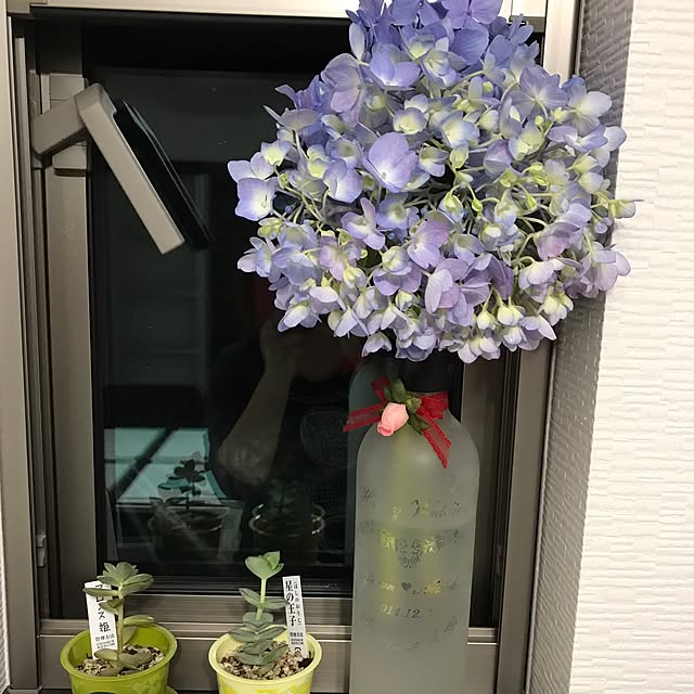 amucさんの実例写真