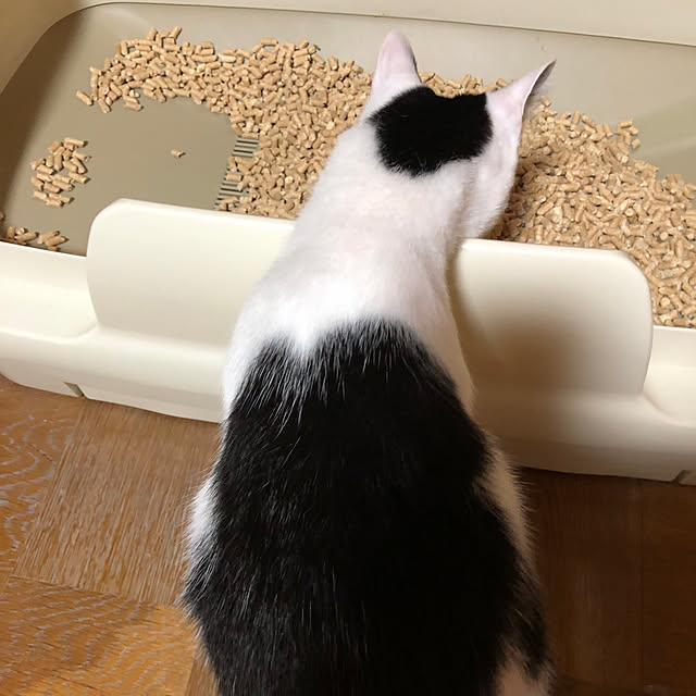 himawari123さんの実例写真