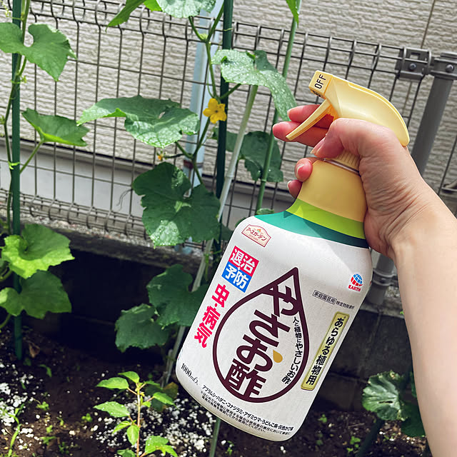 maimaiさんの実例写真